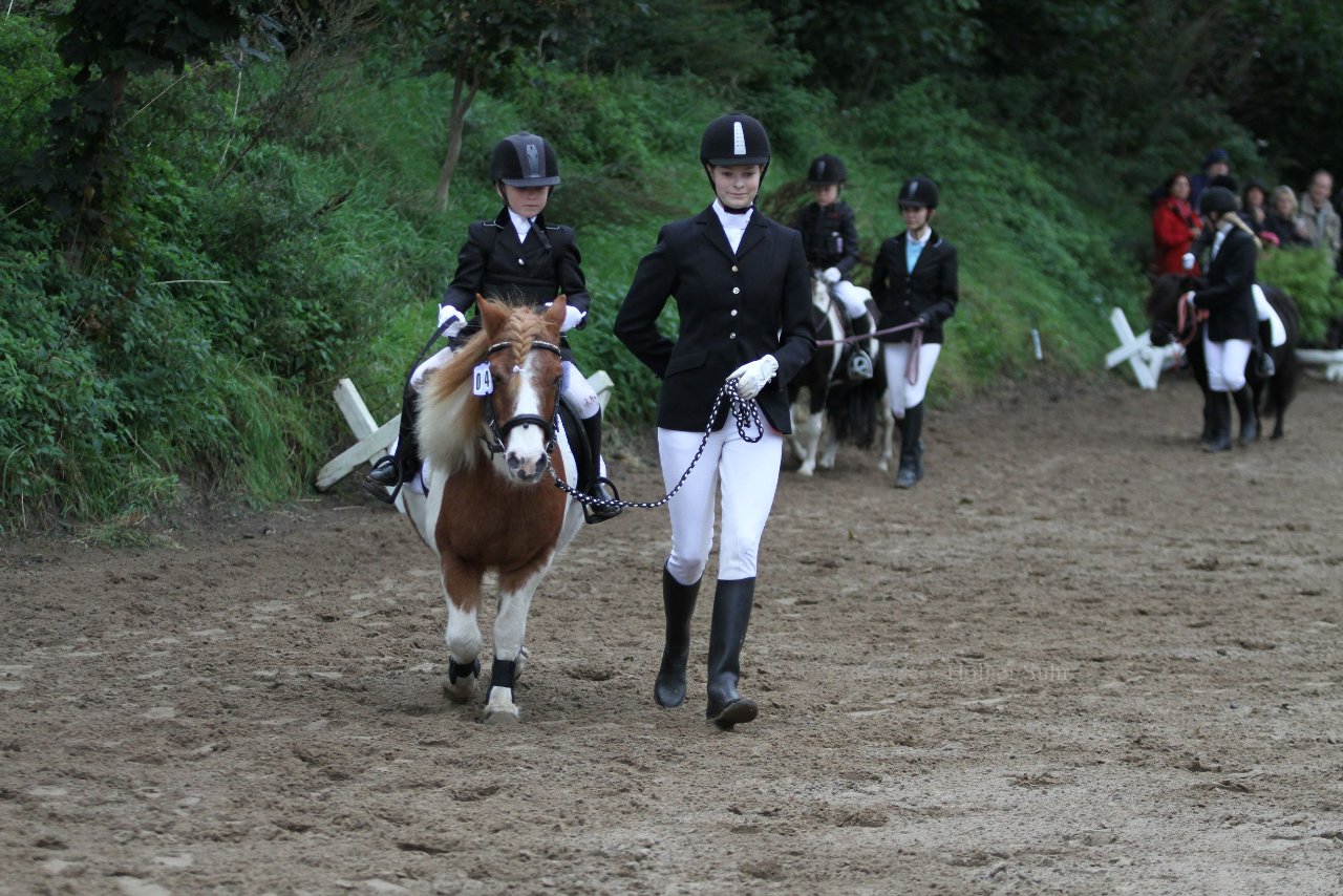Bild 576 - WBO-Turnier am 18.9.11